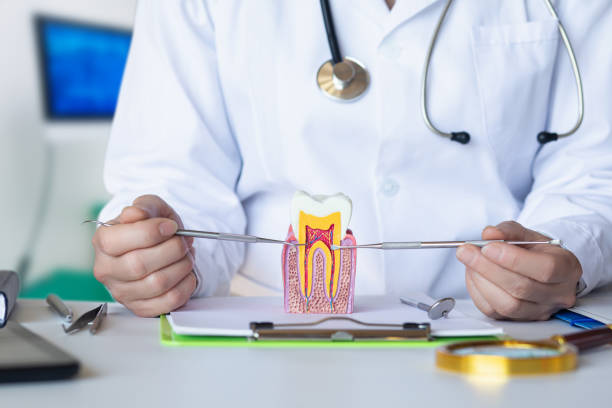 Best Emergency TMJ Treatment in Montz, LA